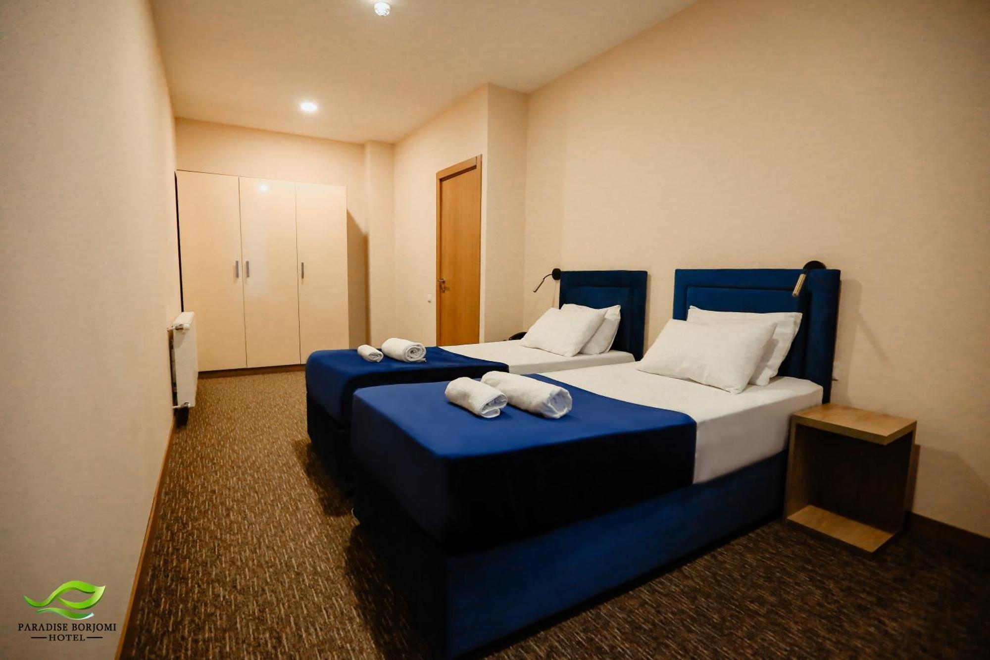 Terrace Borjomi Hotel المظهر الخارجي الصورة