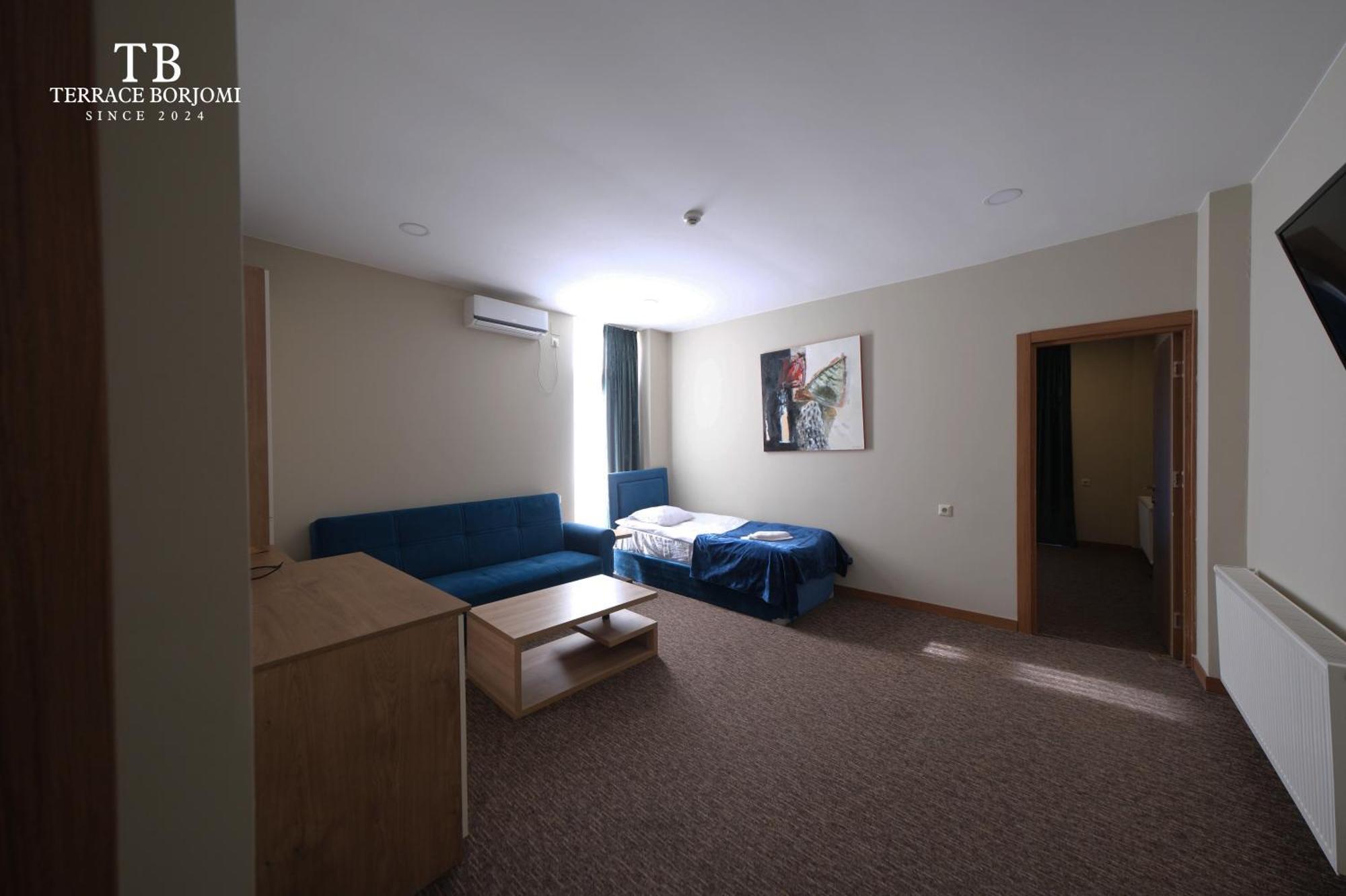 Terrace Borjomi Hotel المظهر الخارجي الصورة